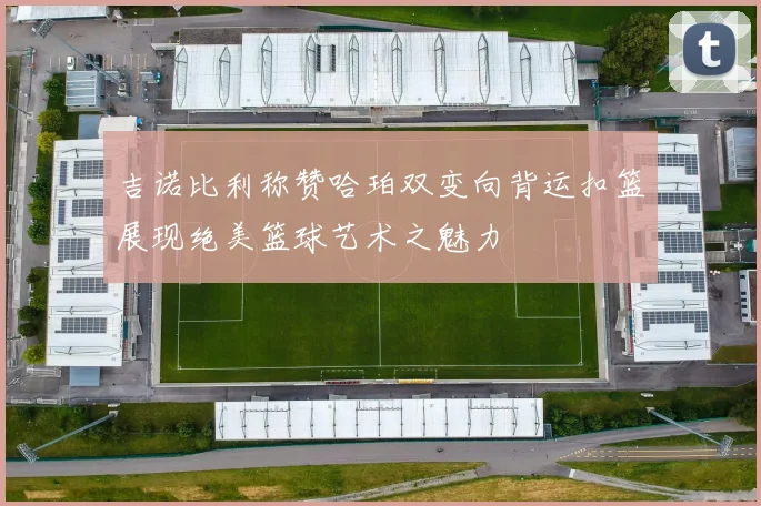 吉诺比利称赞哈珀双变向背运扣篮展现绝美篮球艺术之魅力