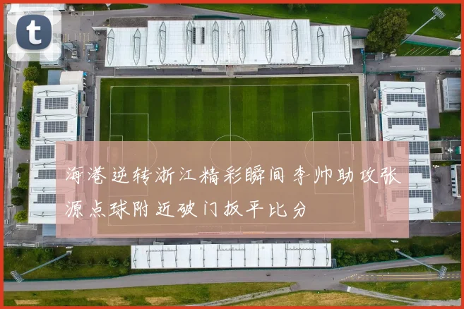 海港逆转浙江精彩瞬间李帅助攻张源点球附近破门扳平比分