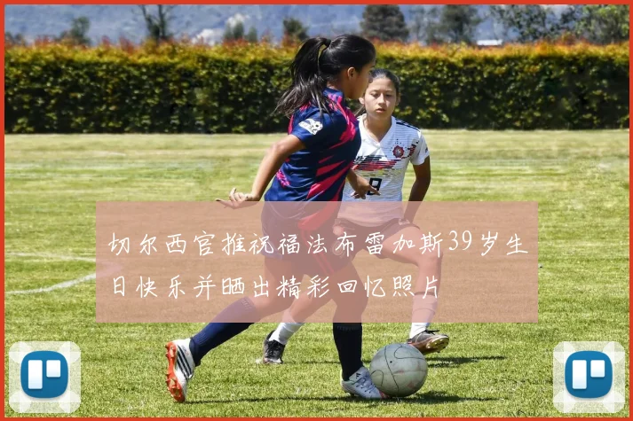 切尔西官推祝福法布雷加斯39岁生日快乐并晒出精彩回忆照片