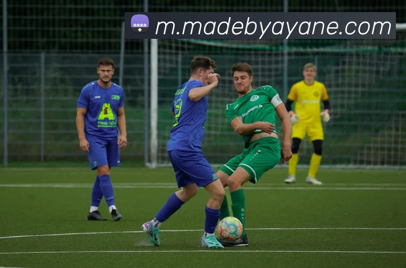 奖项证书